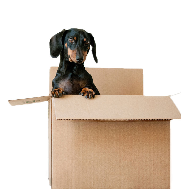 moving boxes – packing supplies – moving supplies – bubble wrap – packing tape